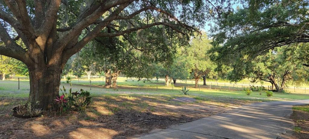 Beautiful 5 acres Home Clermont Exterior foto