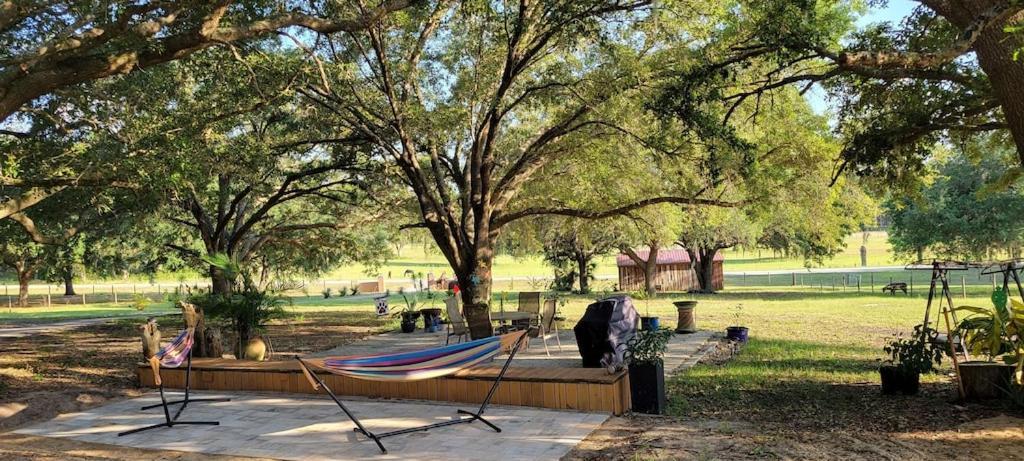 Beautiful 5 acres Home Clermont Exterior foto